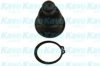 NISSA 401609Y000 Ball Joint